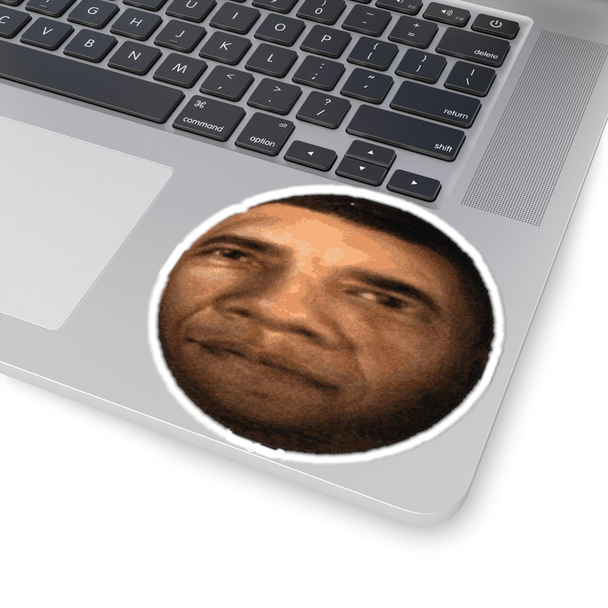 OBAMASPHERE Sticker