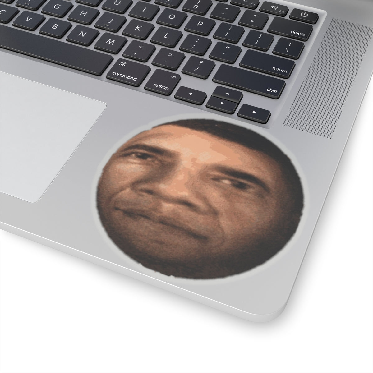 OBAMASPHERE Sticker