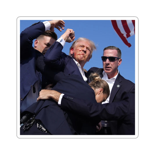 Donald Trump ASSASSIN Sticker
