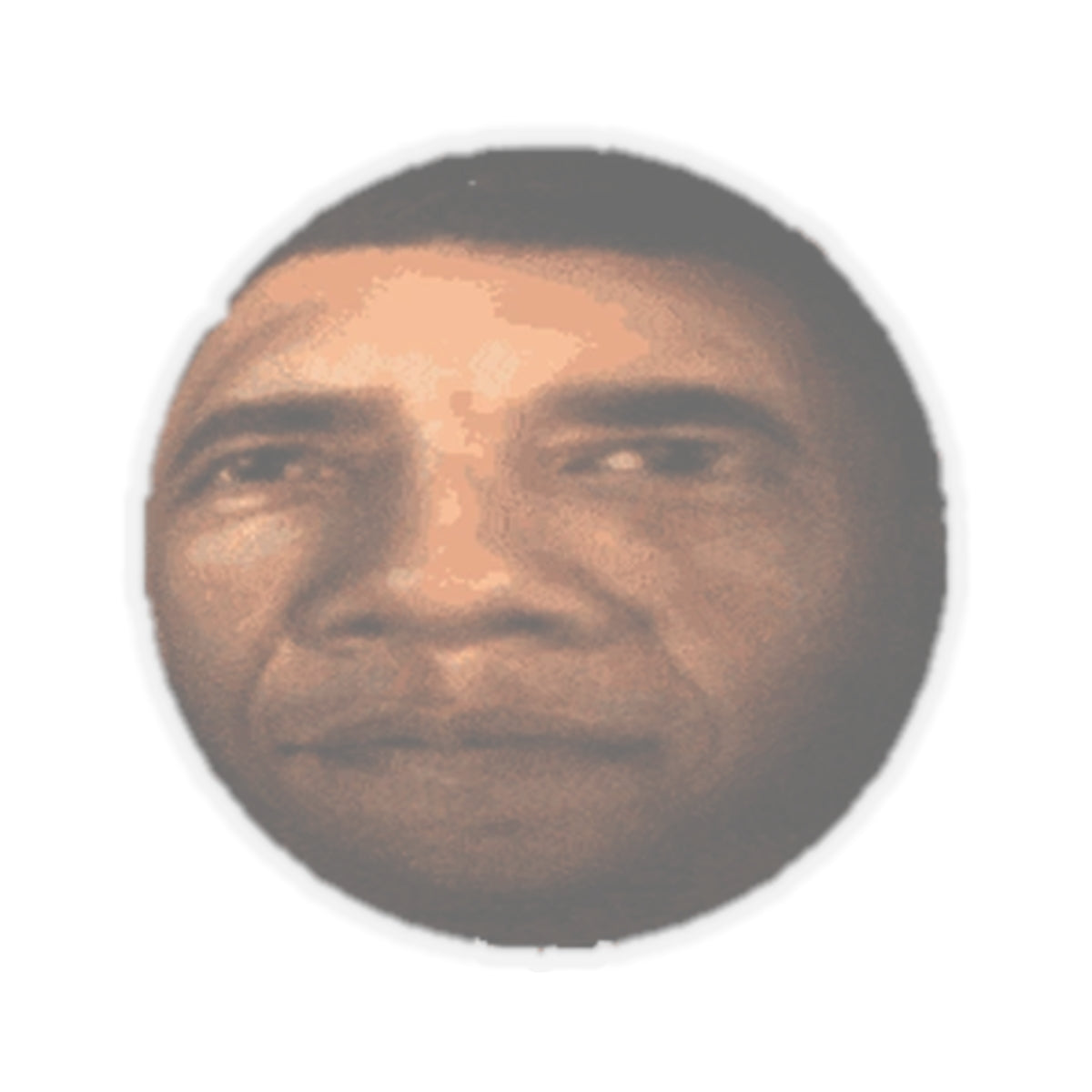 OBAMASPHERE Sticker
